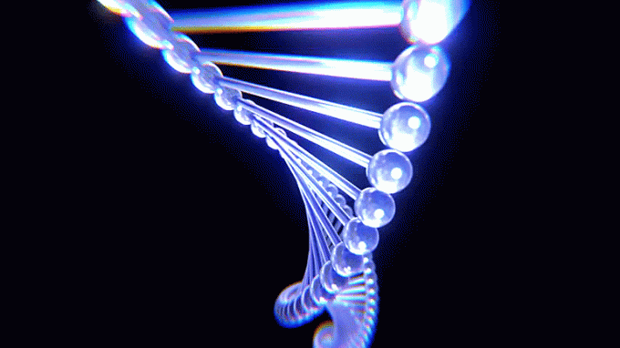 : module exopolitique du mois de novembre bridation génétique et programme ET